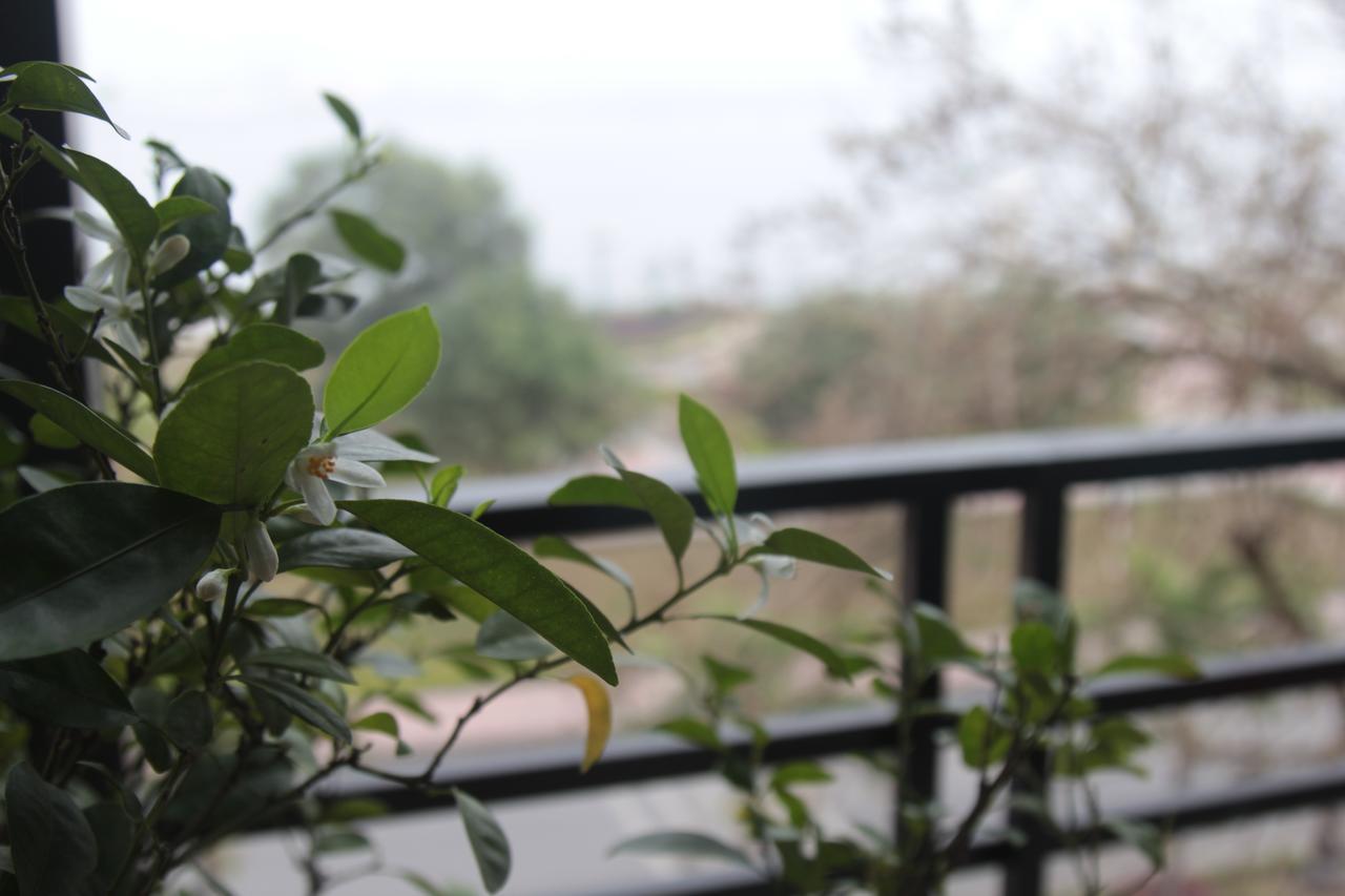 דונג הוי Geminai Hotel & Cafe מראה חיצוני תמונה